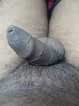 Snapshot of sat_1234 chatting on January 10, 2025, 3:58 pm sat 1234 online show from January 10, 2025, 3:58 pm