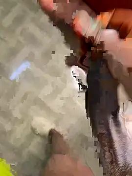 Bigcock 254 online show from May 6, 2026, 8:36 pm