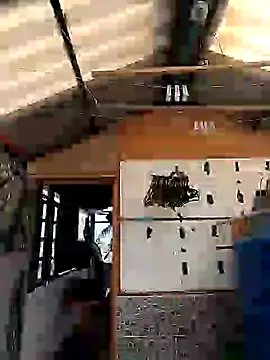 Snapshot of rebekka_simpson chatting on March 9, 2025, 8:10 pm rebekka simpson online show from March 9, 2025, 8:10 pm