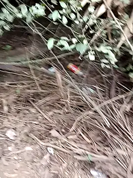 RockyNonStop online show from December 24, 2024, 2:43 am