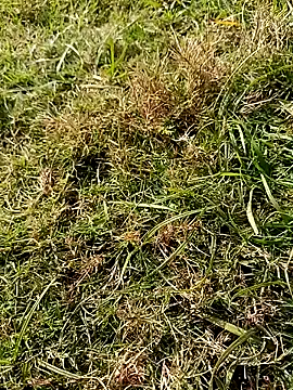 RockyNonStop online show from January 18, 2025, 8:10 am