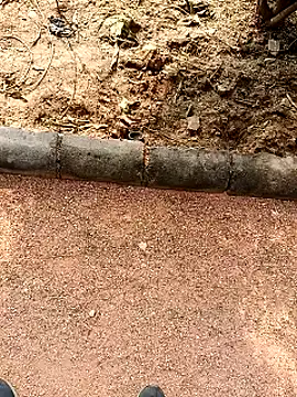 RockyNonStop online show from January 19, 2025, 7:04 am