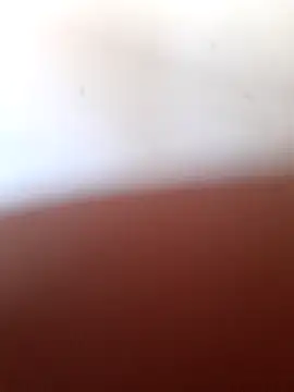 danobis1995 online show from June 21, 2026, 4:42 pm