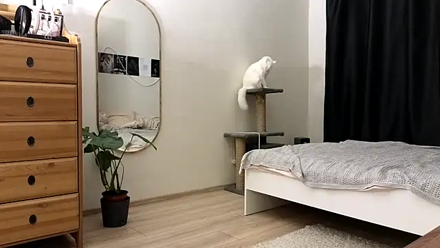 vse horosho online show from November 13, 2025, 5:23 pm