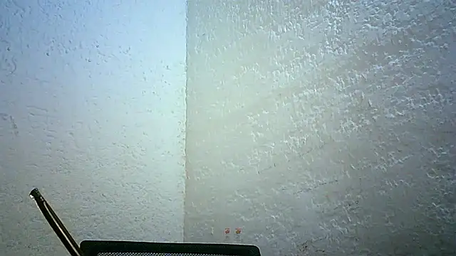 Bellabeltrann online show from November 30, 2025, 11:42 pm