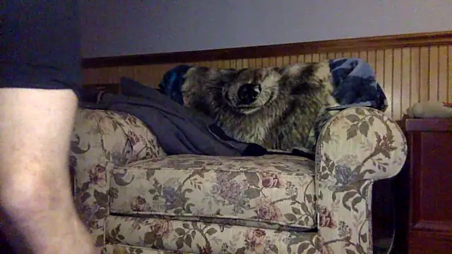 Snapshot of tongueispowerr6d9 chatting on March 3, 2026, 2:18 am tongueispowerr6d9 online show from March 3, 2026, 2:18 am