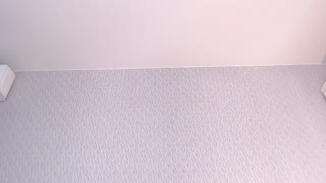 Snapshot of CERRUTI_model chatting on March 21, 2025, 9:56 am CERRUTI model online show from March 21, 2025, 9:56 am