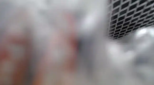 Snapshot of Lovensetest chatting on February 26, 2025, 7:09 am Lovensetest online show from February 26, 2025, 7:09 am