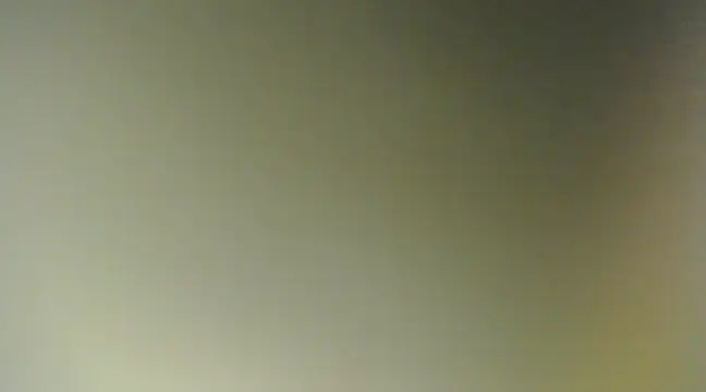 Snapshot of Lovensetest chatting on March 11, 2025, 11:55 am Lovensetest online show from March 11, 2025, 11:55 am