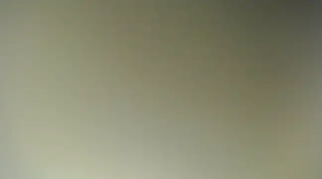 Snapshot of Lovensetest chatting on March 18, 2025, 10:36 am Lovensetest online show from March 18, 2025, 10:36 am