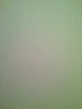 Snapshot of Lovensetest chatting on February 13, 2026, 1:01 am Lovensetest online show from February 13, 2026, 1:01 am