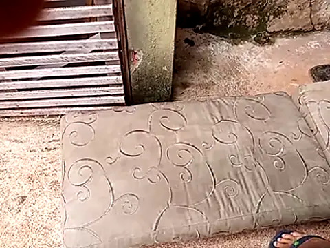 wel9238 online show from February 25, 2026, 4:38 pm