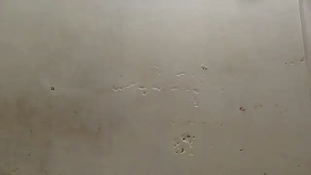 curvysexybody online show from January 16, 2026, 9:41 pm