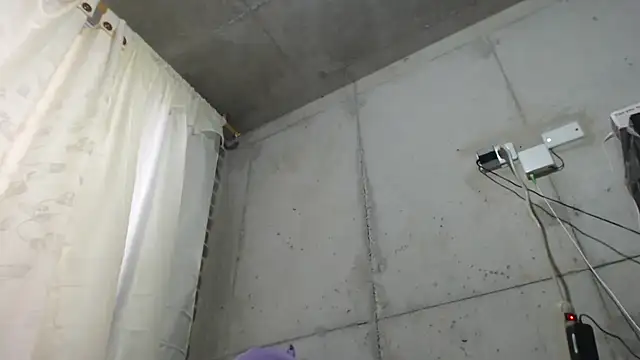 v violeta online show from March 24, 2026, 11:04 am