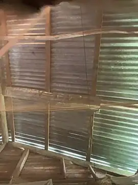 phola12 online show from February 27, 2025, 7:47 pm