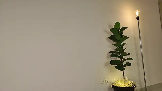 lady ni  online show from December 17, 2025, 12:22 pm