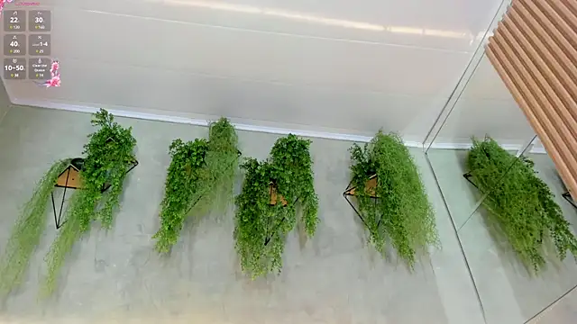 Lana Lann online show from January 11, 2025, 6:01 pm