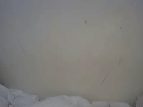 ebony curvedass online show from September 10, 2025, 2:06 pm