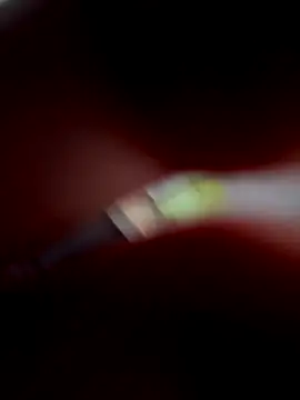 VixyGang online show from September 30, 2025, 7:41 pm