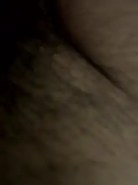 Desibullrck online show from April 3, 2026, 5:00 pm