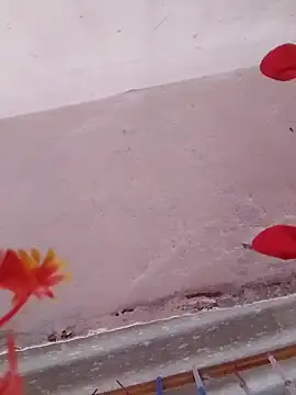 HOTDEEKCHA online show from March 15, 2025, 8:58 am