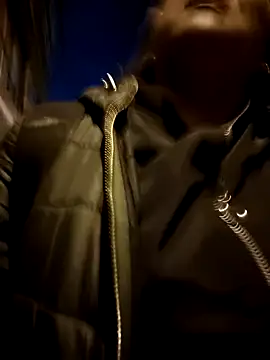 kitty 84 online show from February 6, 2025, 11:48 pm