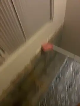 prettlovely14 online show from February 20, 2026, 4:42 am