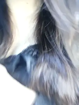  Linez  online show from October 28, 2025, 5:26 pm