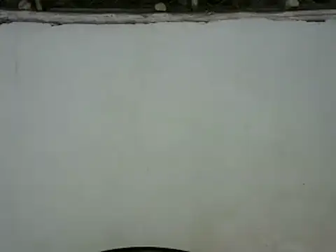 michel sc online show from January 30, 2025, 8:43 am