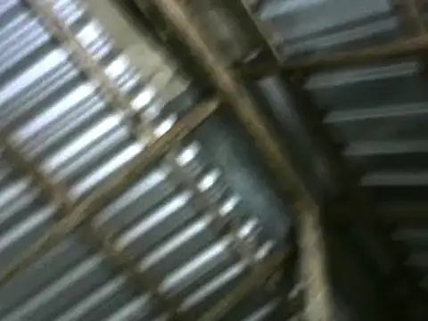 michel sc online show from October 5, 2025, 10:24 am