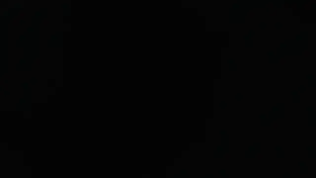 Liaroberts1 online show from January 24, 2025, 12:10 pm