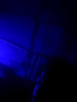 jordontheone1 online show from November 5, 2025, 9:48 pm