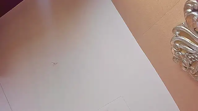 Celeste Baker  online show from March 18, 2026, 12:08 pm