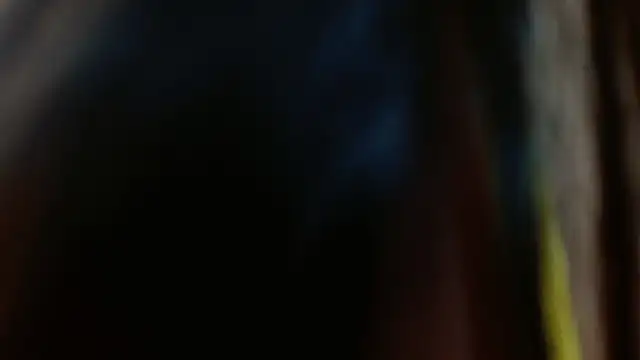 Melikasweetz online show from December 17, 2024, 8:32 pm