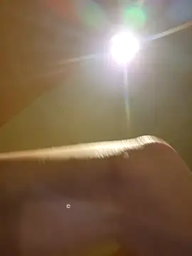 Snapshot of BigDDave6979 chatting on March 6, 2025, 1:37 am BigDDave6979 online show from March 6, 2025, 1:37 am