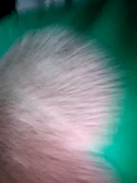 Haralushiaaa online show from December 4, 2025, 11:57 pm