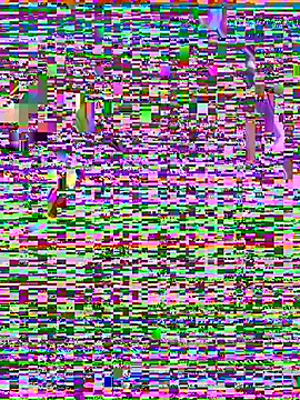 beauty alina online show from March 16, 2026, 9:19 pm