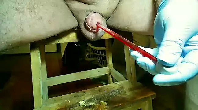 CBT FUN TIME online show from March 14, 2025, 7:34 pm