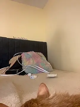 liaqueen610 online show from November 13, 2025, 11:14 pm