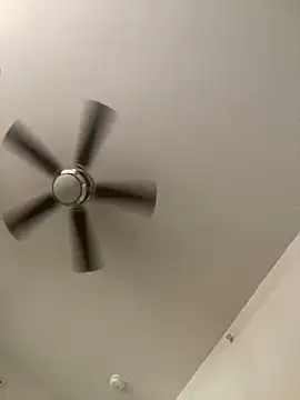 goldbuni online show from December 3, 2024, 2:49 pm