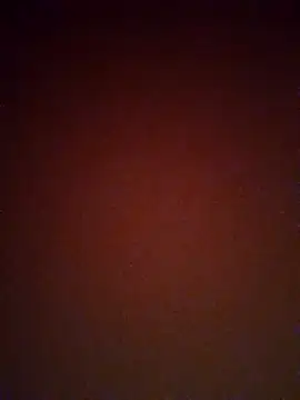 mendelicius online show from February 25, 2025, 2:33 pm