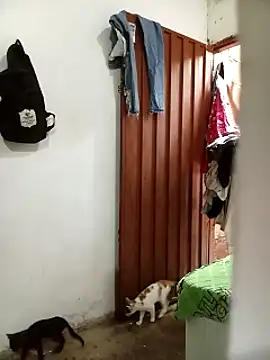 Andreita 95 online show from November 13, 2025, 11:31 am