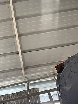 Snapshot of ThomasSAS chatting on March 3, 2026, 4:57 pm ThomasSAS online show from March 3, 2026, 4:57 pm