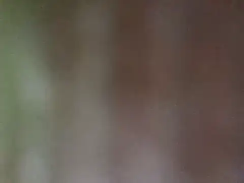 misu09 online show from February 28, 2025, 3:04 pm