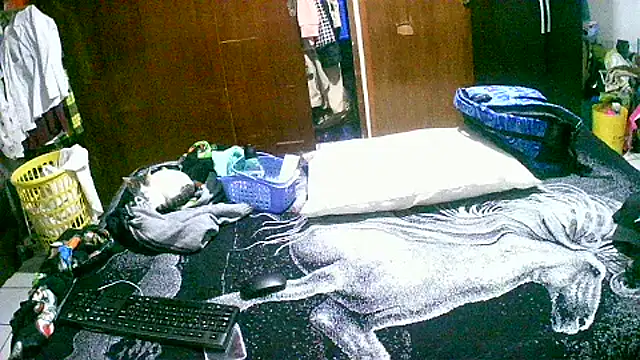 Snapshot of jperezofficial1 chatting on September 13, 2025, 9:42 am jperezofficial1 online show from September 13, 2025, 9:42 am