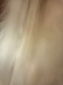 -RIVIERA- online show from February 11, 2025, 4:35 pm