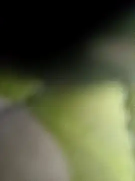 littlehornysons online show from February 9, 2025, 2:38 am