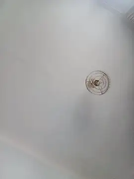 katymojadit online show from January 20, 2025, 3:28 pm