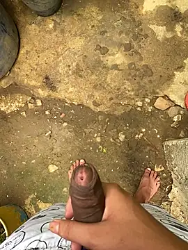 king cum  online show from February 16, 2025, 12:43 pm