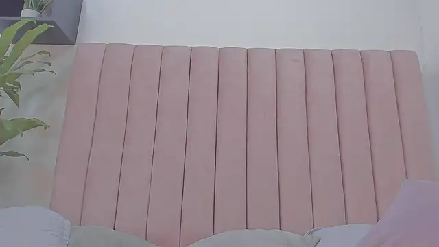 camila  herrera online show from February 6, 2025, 12:16 pm